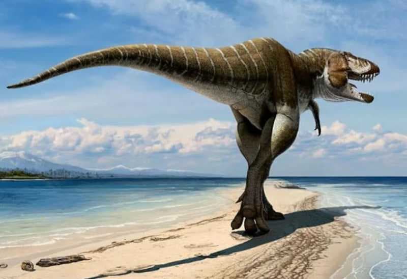  Bukan T-Rex, Ini Dinosaurus Terbuas yang Hidup di Bumi 