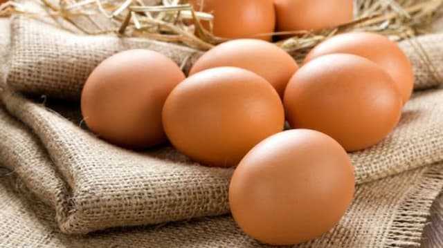 Ilmuwan Ungkap Misteri Kekuatan Telur Ayam