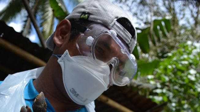 Cegah Wabah Flu Babi Afrika, Ini Respons Pemerintah