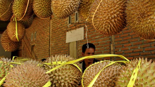 Di Balik Bau Menyengat yang Bikin Sebagian Orang Benci Durian