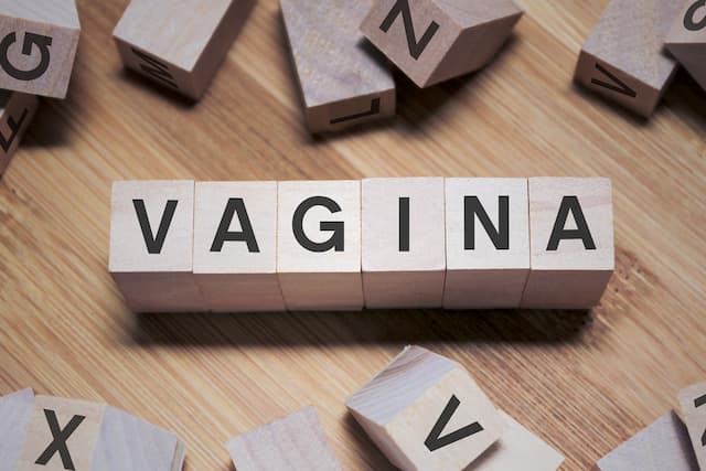 Apakah Ukuran Vagina Semua Wanita Sama?