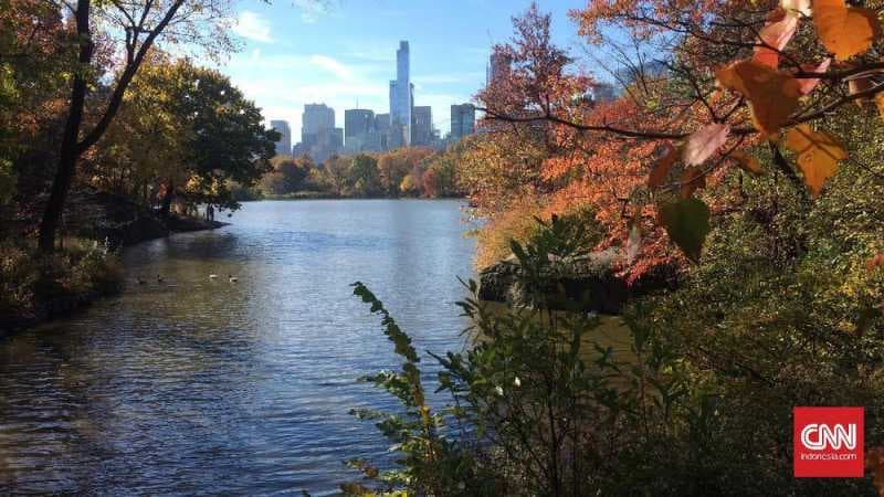 Central Park Resmi Melarang Kendaraan Bermotor Melintas