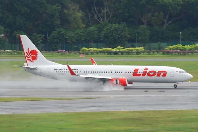 Kominfo Himbau Warganet Tak Sebar Hoax Musibah Lion Air