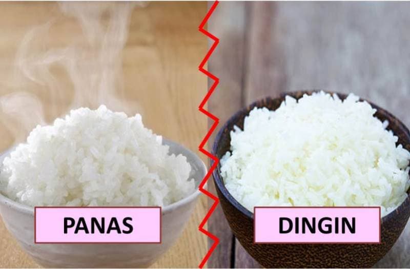Nasi Panas vs Nasi Dingin, Lebih Sehat yang Mana Kira-kira? Cari Tahu di Sini!