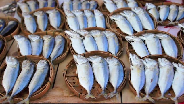 Makan Ikan Asin dan Nasi Panas Ternyata Tak Sehat