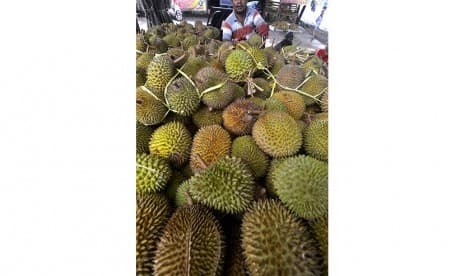 Wisata ke Kampung Durian Gajian