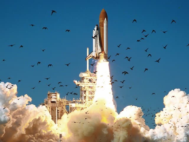 Waduh! Roket SpaceX Bisa Terbakar Gara-gara Kotoran Burung