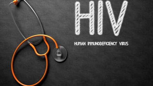 Sapi Bisa Melawan HIV pada Manusia?