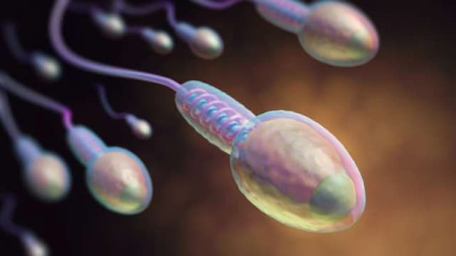Sperma Bisa Bantu Obati Kanker Lho